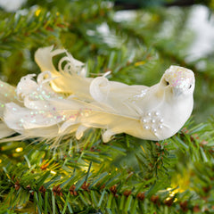 TEST SONG BIRD WHITE FEATHER TAIL ORNAMENT